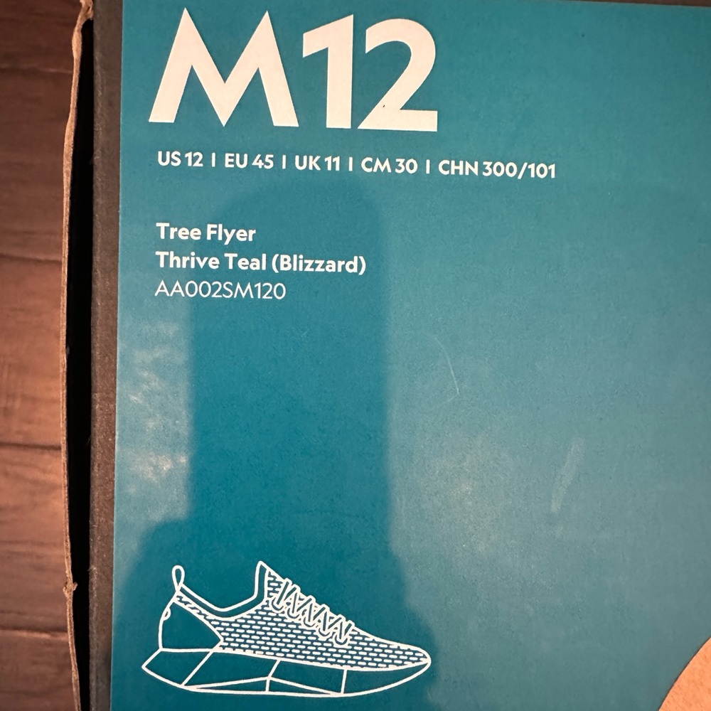 Allbirds Men's Tree Flyer 1 - Thrive Teal (Blizzard Sole) shoes